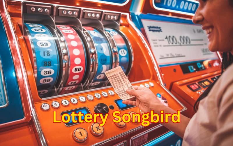 Lottery Songbird